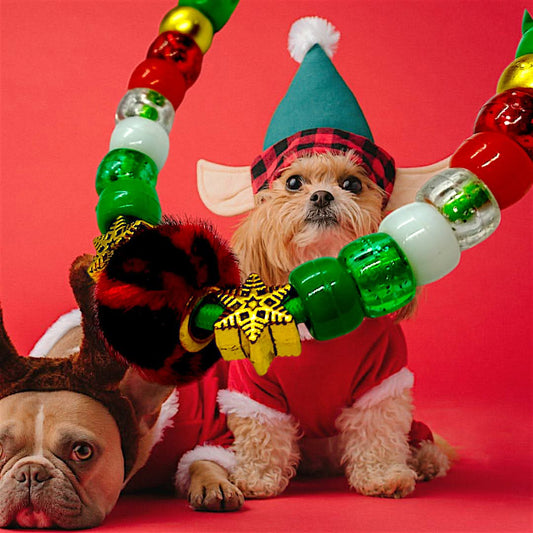 Collier de Noël pour chien | Laisse de Wouf