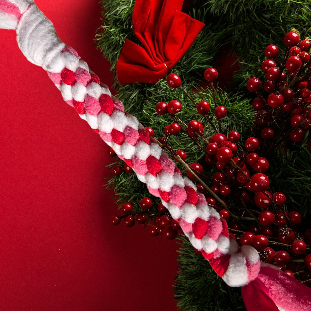 Tug polaire Blanc rose rouge pour chien