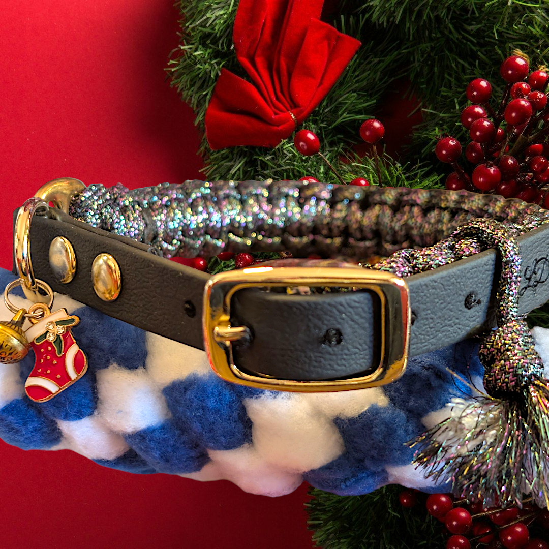 Baluchon de Noël pour chien