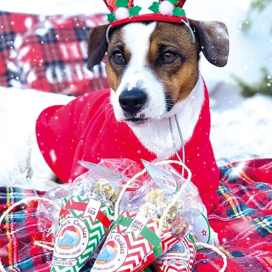 Cornet de friandises Noël - COOKA'S COOKIES