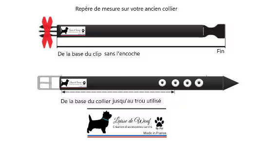 Baroudeur Collier pour chien | Hexa kaki 20mm | Laisse de Wouf