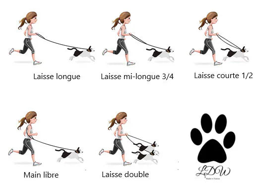 Laisse de wouf | Laisse 3 points Hallo en paracorde 10mm