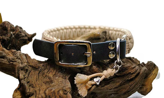 Collier chien | Collection uni - largeur 3cm | Laisse de wouf
