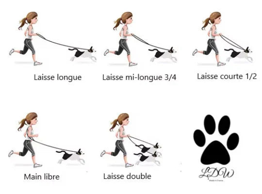 Dog leash | 3-point leash, Black Antique Brass Collection | 10mm