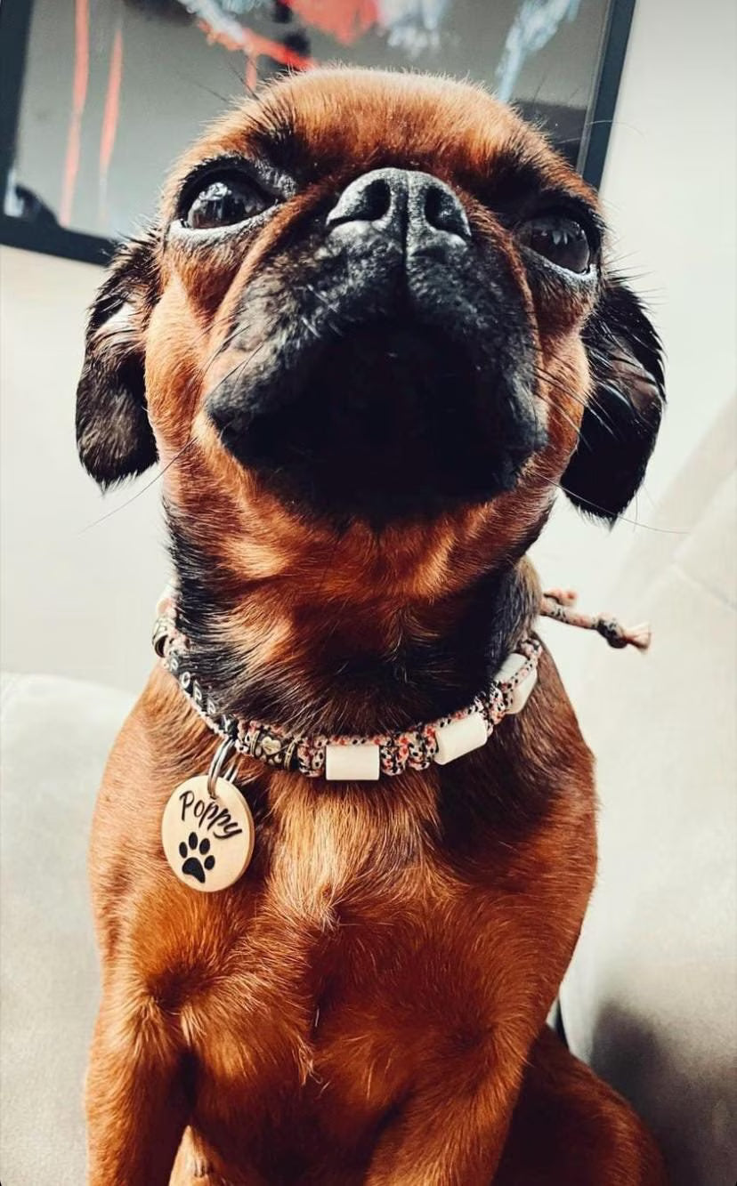 Varnished wooden dog identification tag | paw print design