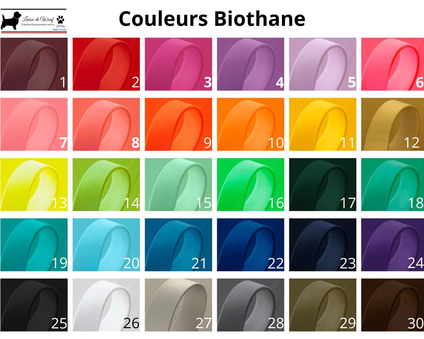 Collier Biothane Modèle Kiss 16mm | Laisse de wouf