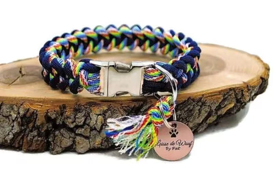 Collier pour chien Shark Bleu marine / Arc-en-ciel - largeur 2cm -| Laisse de wouf