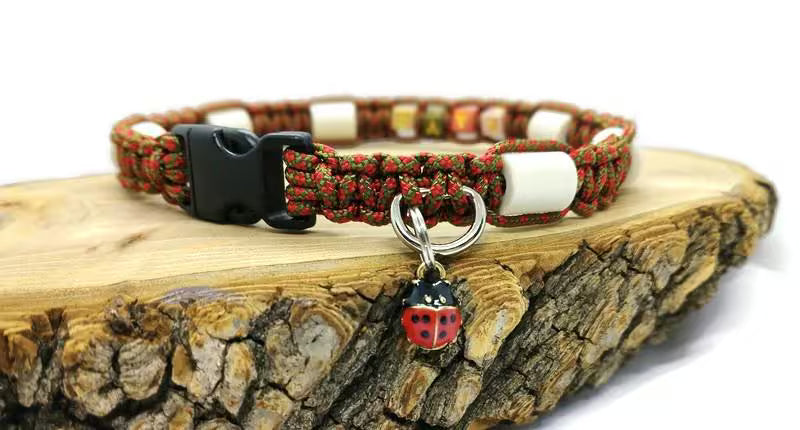Collier anti-tiques pour chien en céramique EM | Laissedewouf Petites Bêtes