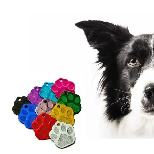Médaille d'idendification chien | 8 couleurs  Motif patte