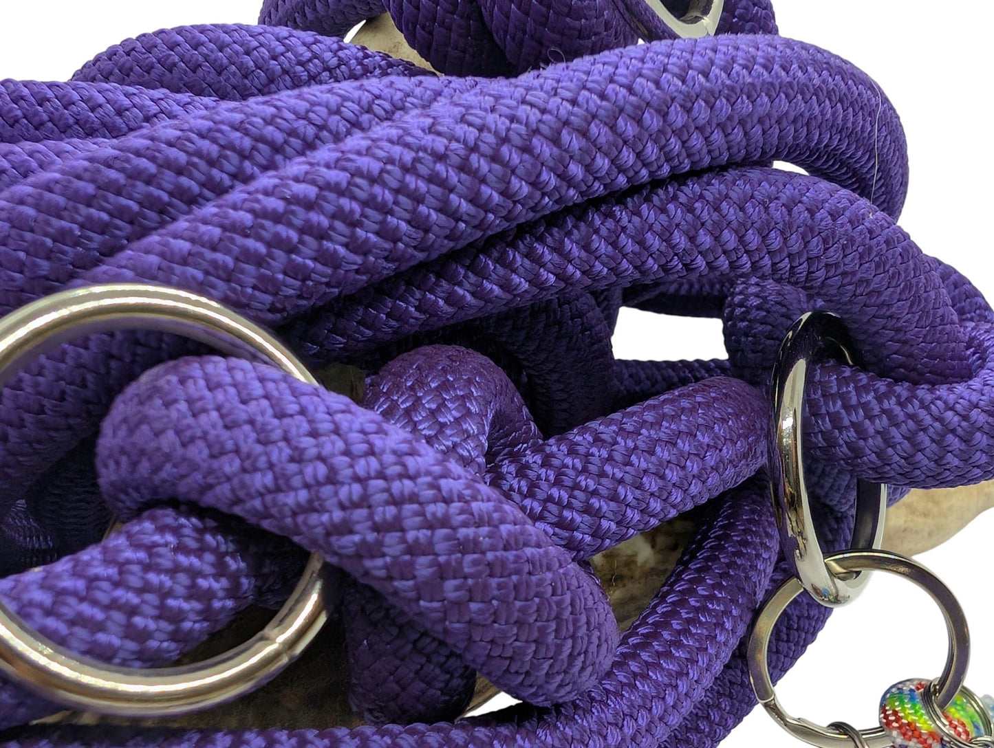 Laisse de wouf | Laisse 3 points Violet / Arc-en-ciel en paracorde 10mm
