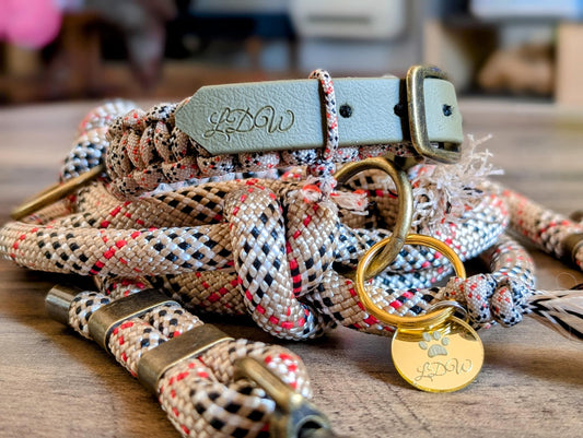 Collie réglable pour chien | Laisse de wouf | Tartan beige largeur 2cm