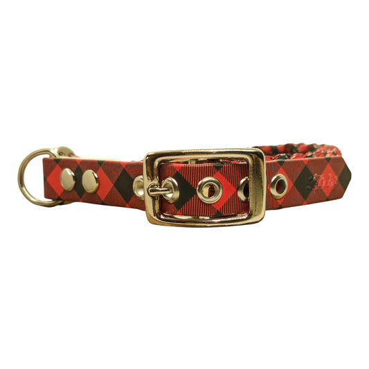 Collier pour chien Écossais