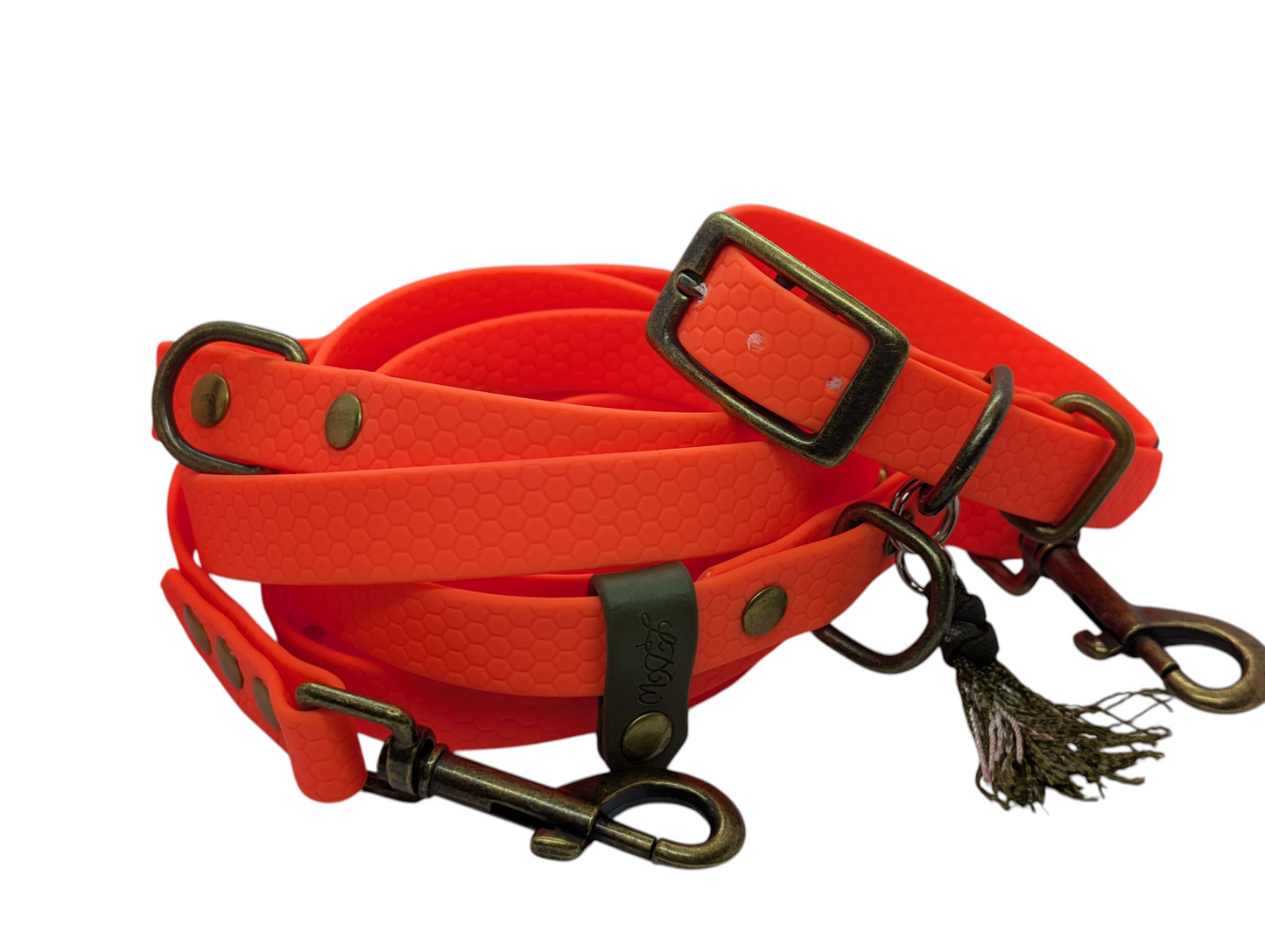 Baroudeur Collier pour chien | Hexa Orange 20mm | Laisse de Wouf