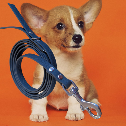 Laisse pour chien Pop Dog "Hexa-Confort" | 16 mm 20mm |