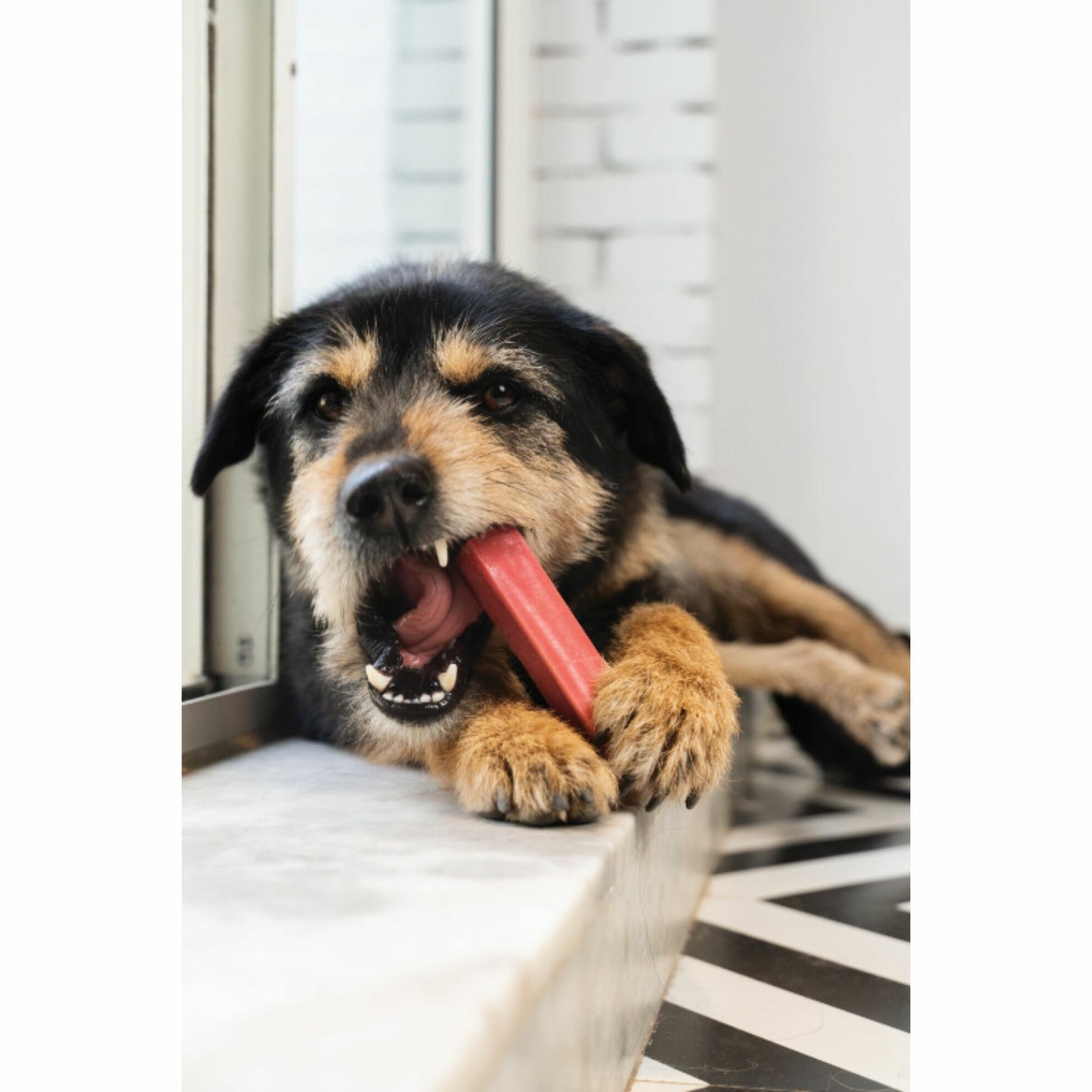 Fromage Cheese Treat à la fraise