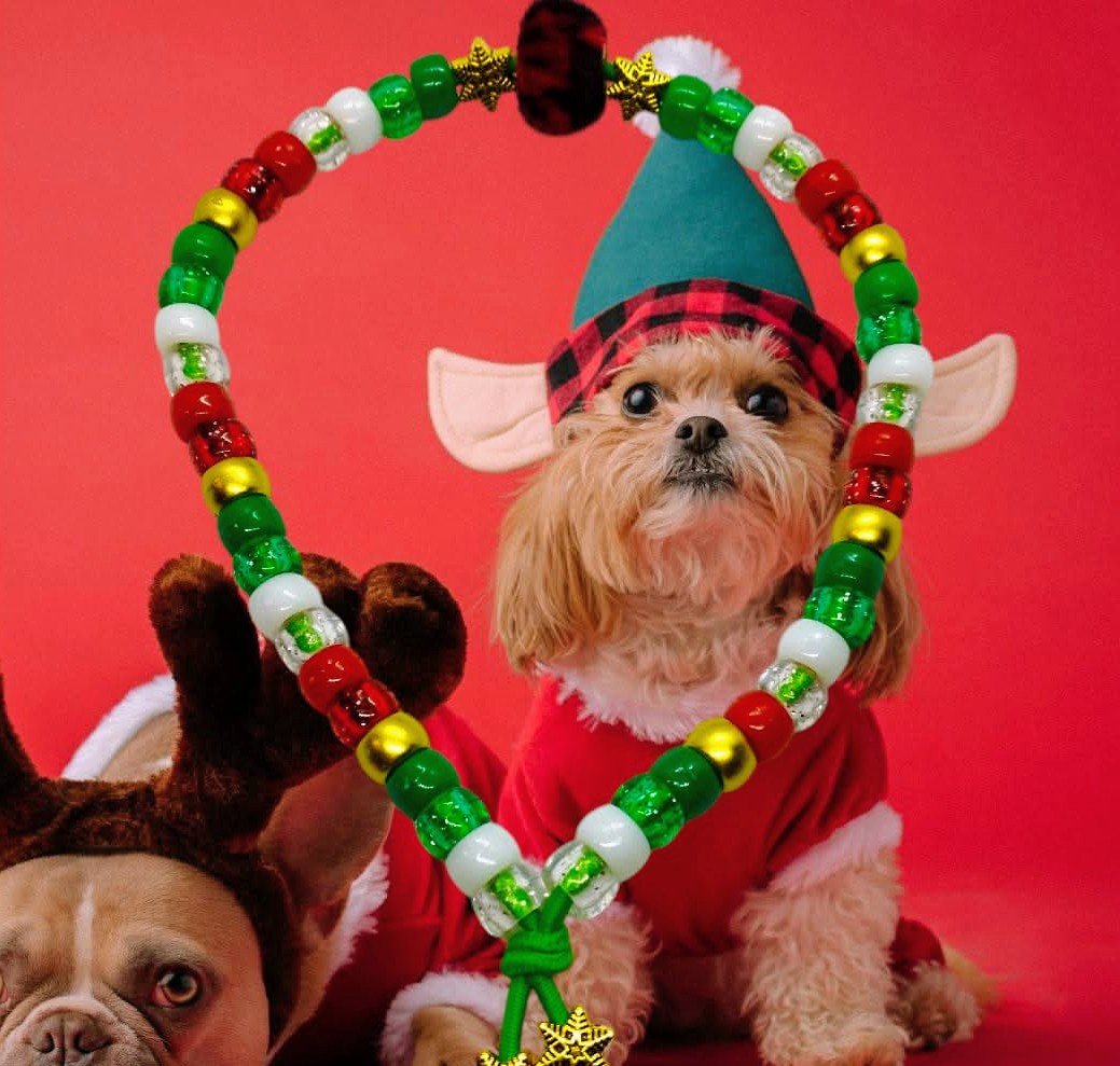 Collier de Noël pour chien | Laisse de Wouf