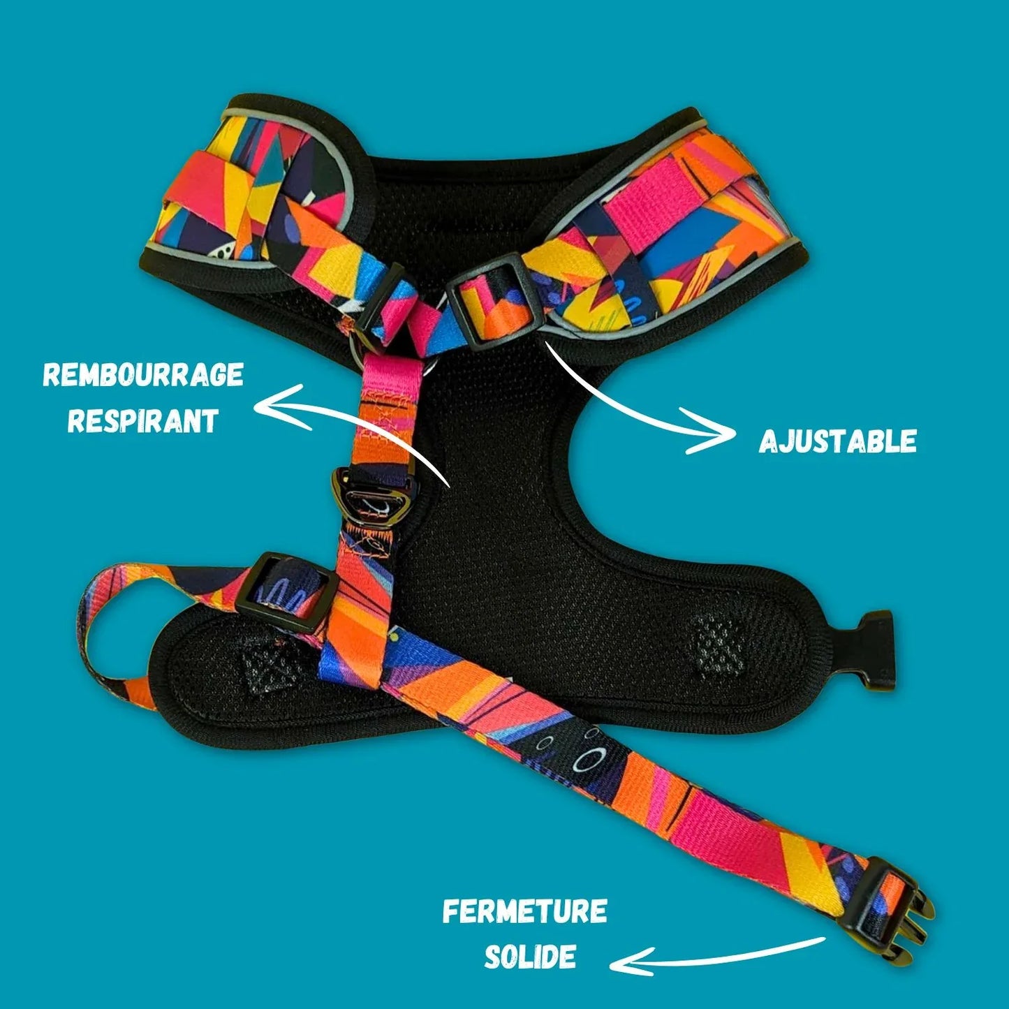 Harnais pour chien Panache