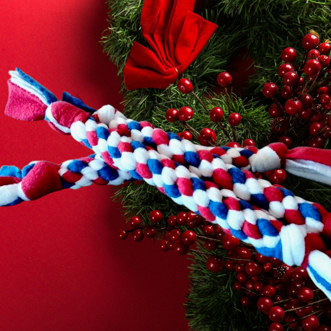 Tug polaire Bleu blanc rouge pour chien