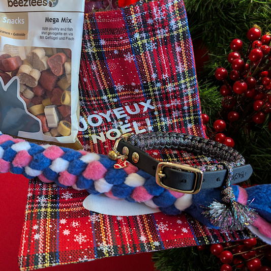 Baluchon de Noël pour chien