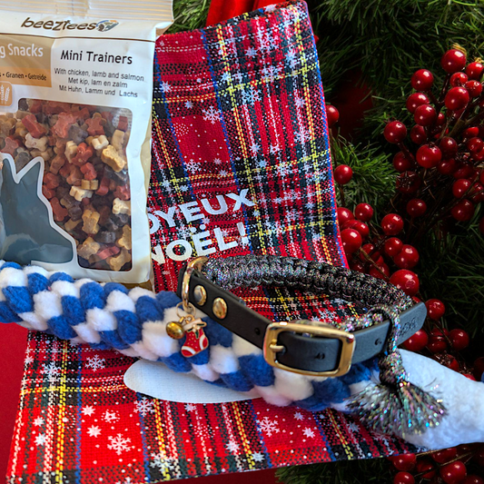 Baluchon de Noël pour chien