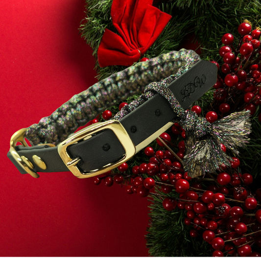 Collier de Noël pour chien
