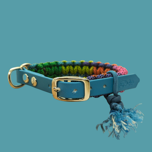 Collier réglable pour chien Arc-en-ciel - largeur 2cm| Laisse de wouf