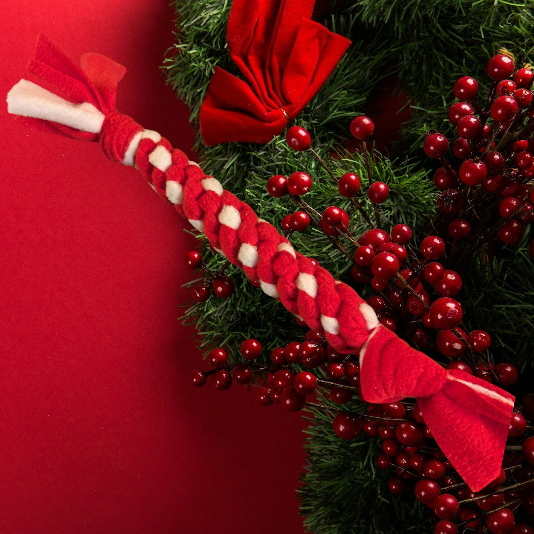 Tug polaire rouge blanc pour chien