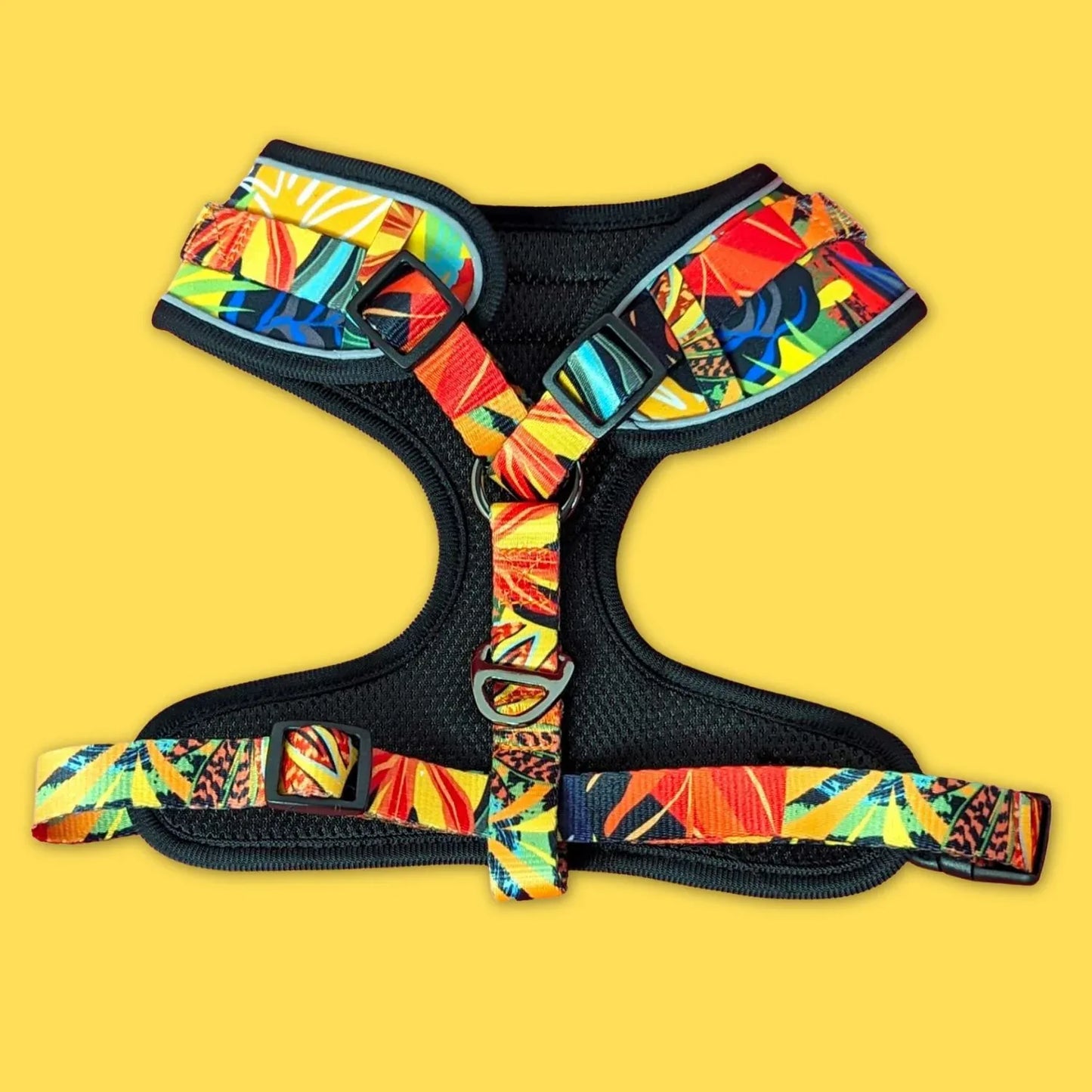 Harnais pour chien Tropical