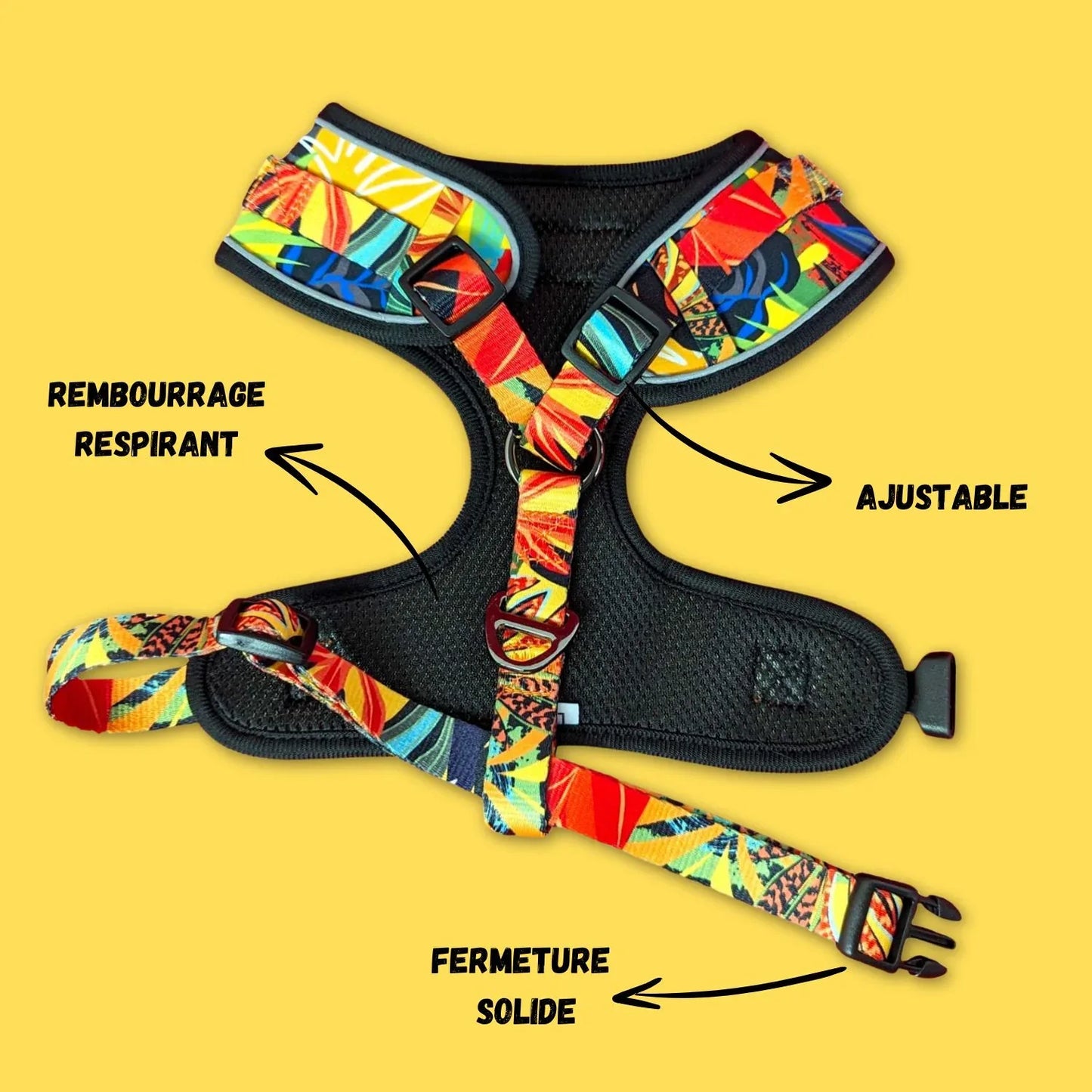 Harnais pour chien Tropical