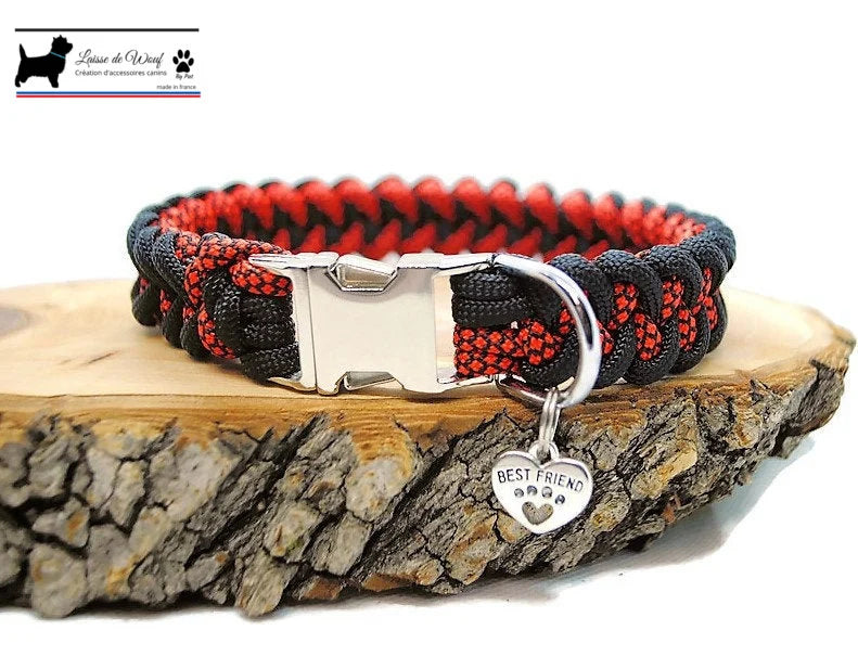 Collier chien Shark Hallo - largeur 2cm | Laisse de wouf