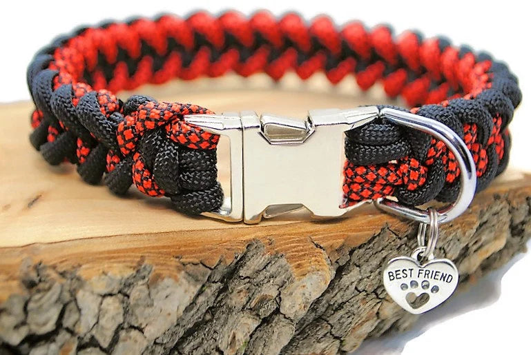 Collier chien Shark Hallo - largeur 2cm | Laisse de wouf