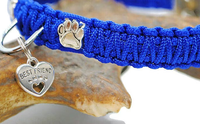 Collier chien Patte - largeur 1.5cm | Laisse de wouf