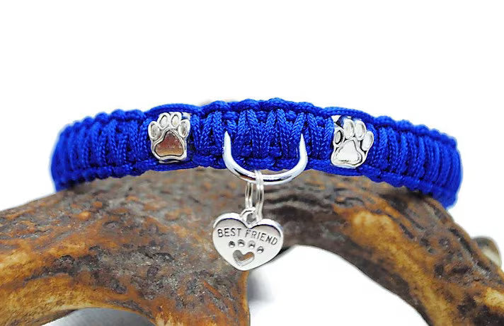 Collier chien Patte - largeur 1.5cm | Laisse de wouf