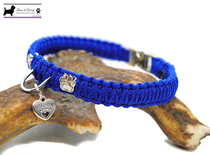 Collier chien Patte - largeur 1.5cm | Laisse de wouf