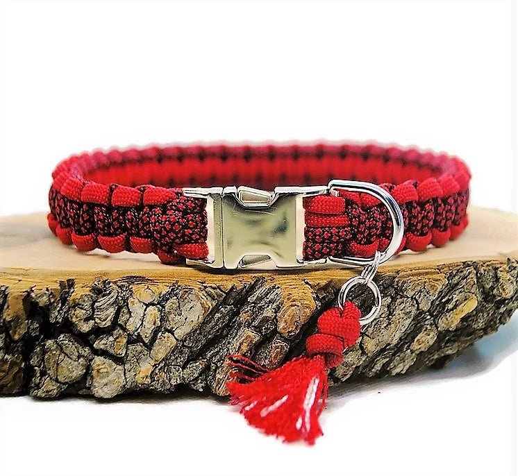 Zweifarbiges Diamant-Hundehalsband – 2 cm breit | Hundeleine