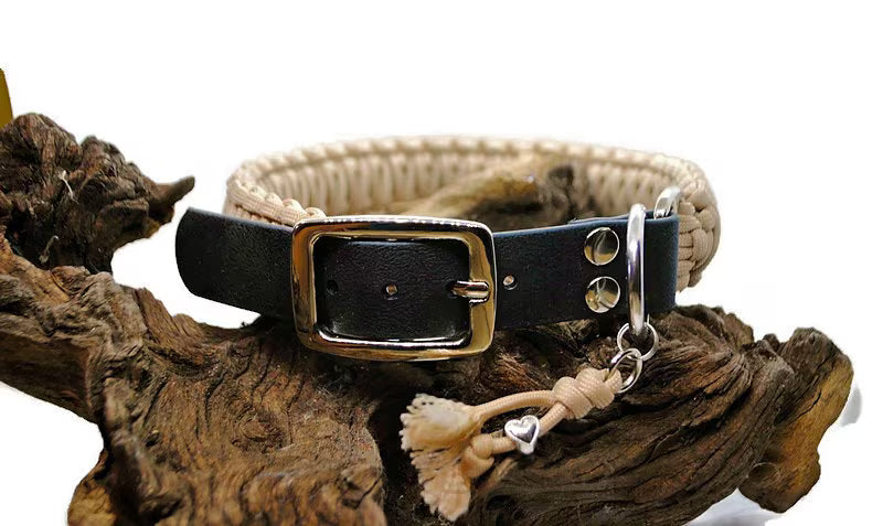 Collier chien | Collection uni - largeur 3cm | Laisse de wouf