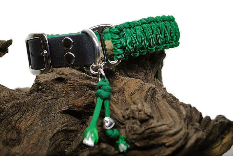 Collier chien | Collection uni - largeur 3cm | Laisse de wouf