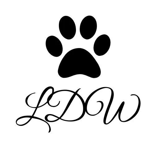 Laisse 3 points Multiposition | HAWAII | Laisse de wouf