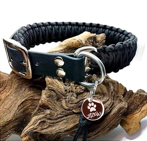 Collier chien | Collection uni - largeur 3cm | Laisse de wouf