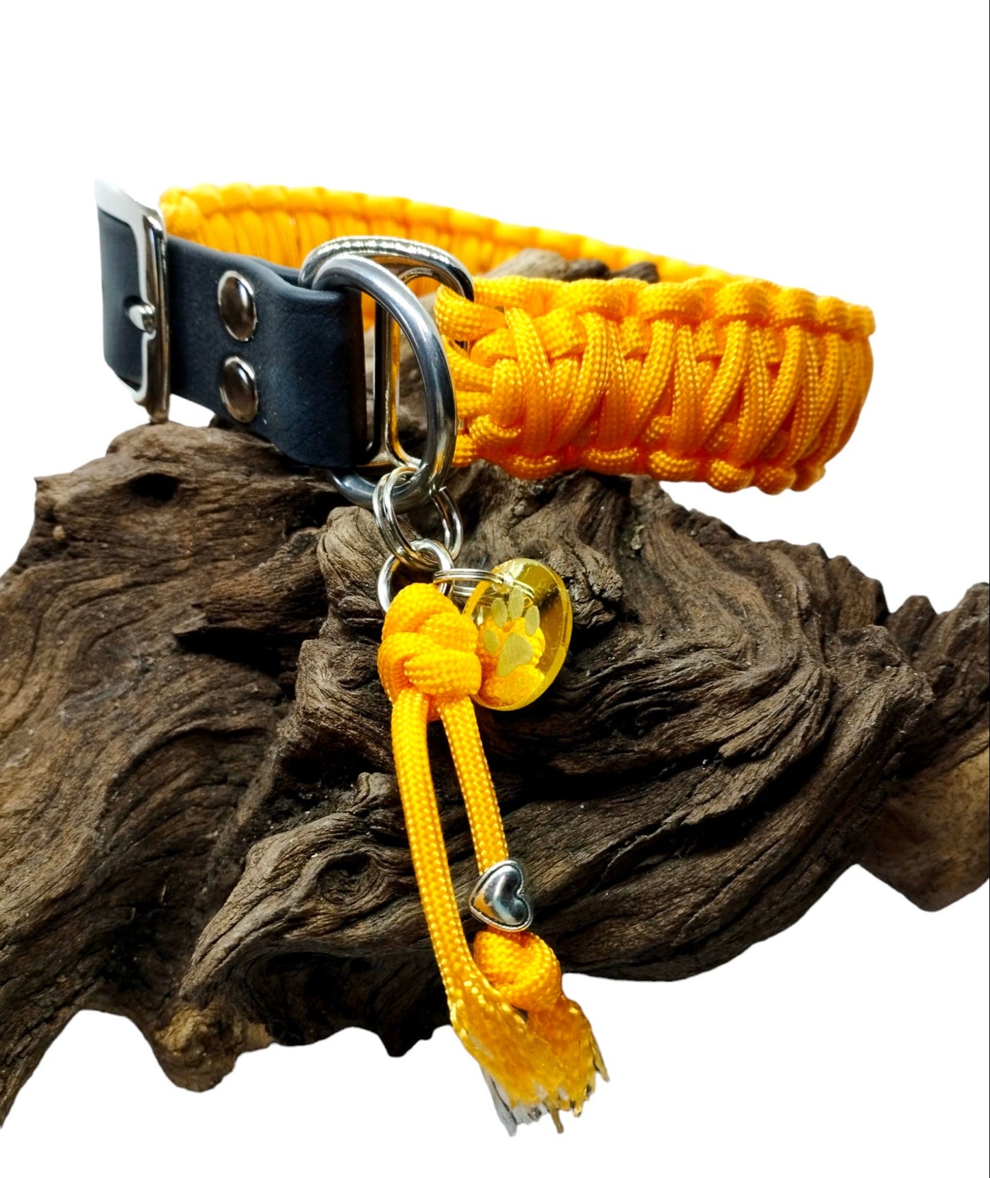 Collier chien | Collection uni - largeur 3cm | Laisse de wouf