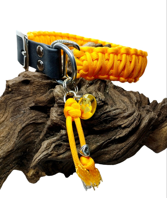 Hundehalsband | Schlichte Kollektion – 3 cm breit | Hundeleine
