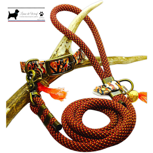 FOREST Dog Set: Biothane Collar and Paracord Leash | Woof Leash
