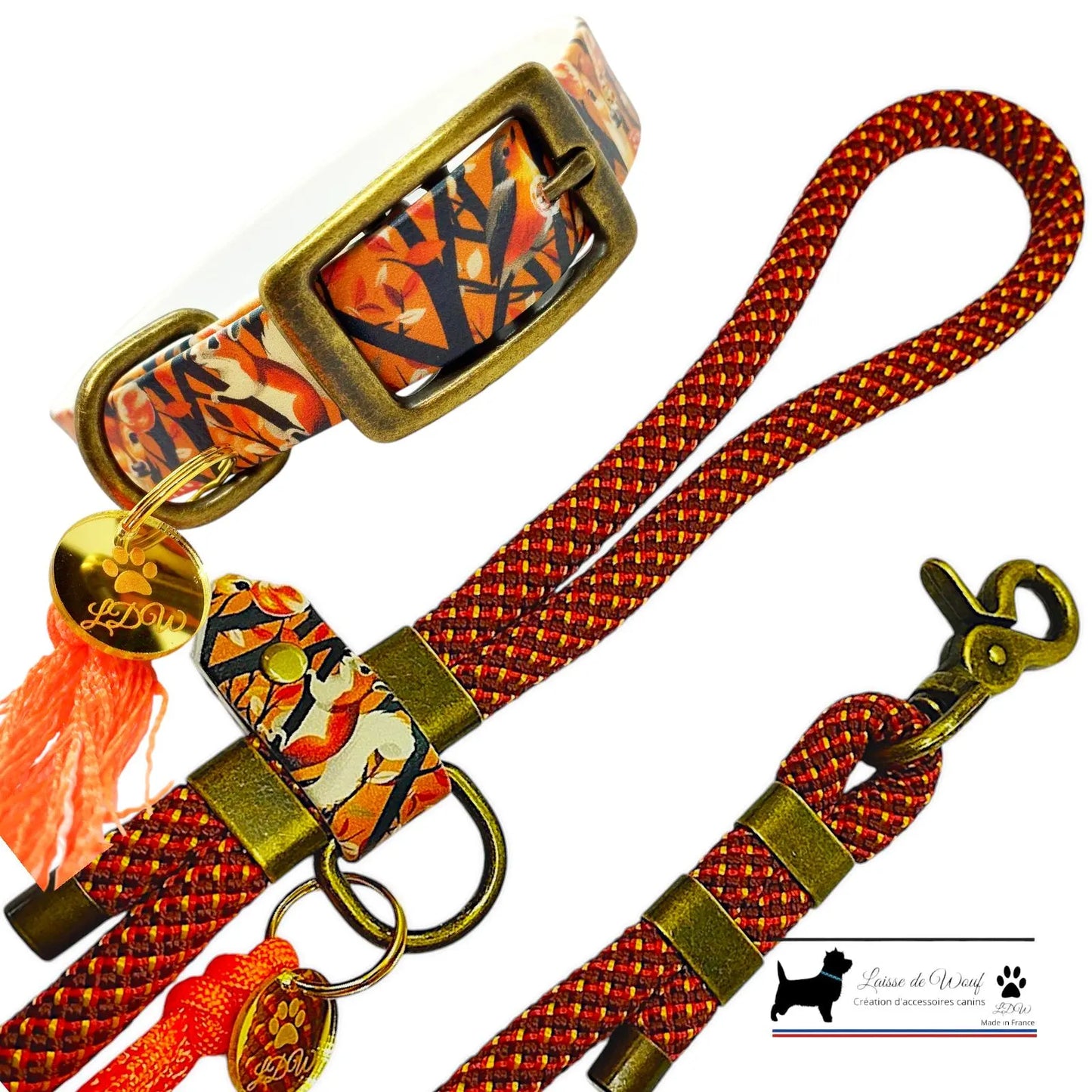 FOREST Dog Set: Biothane Collar and Paracord Leash | Woof Leash