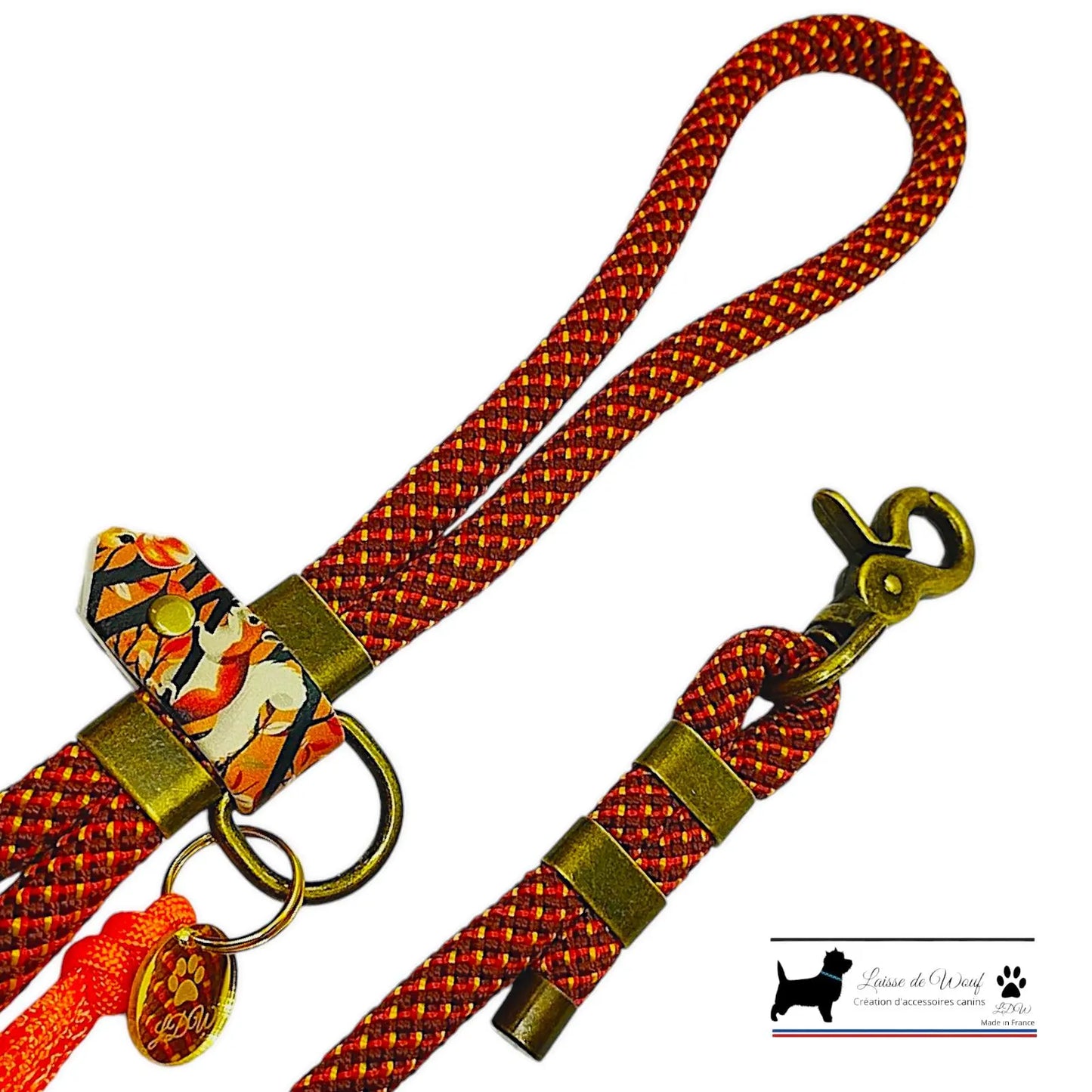 FOREST Dog Set: Biothane Collar and Paracord Leash | Woof Leash