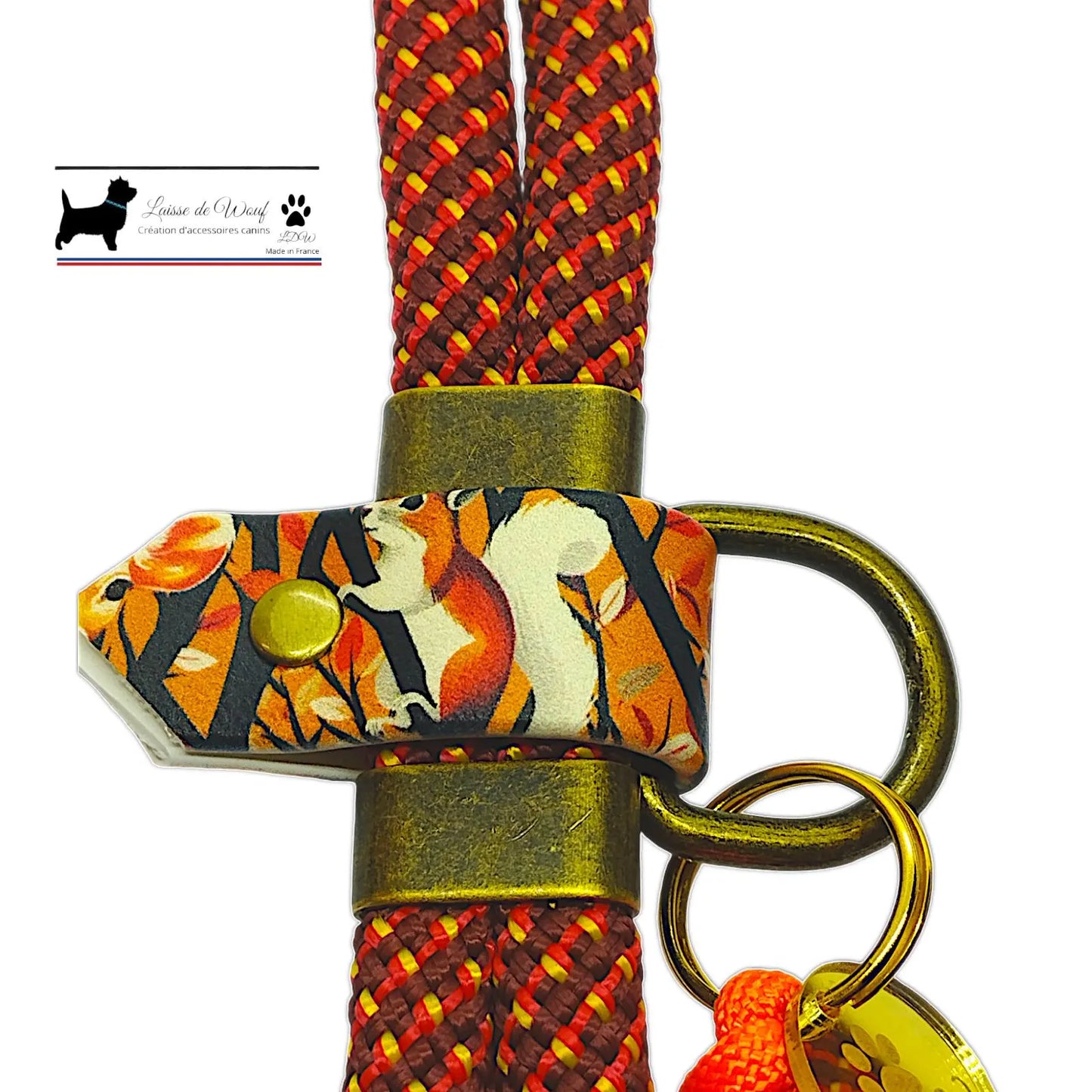 FOREST Dog Set: Biothane Collar and Paracord Leash | Woof Leash