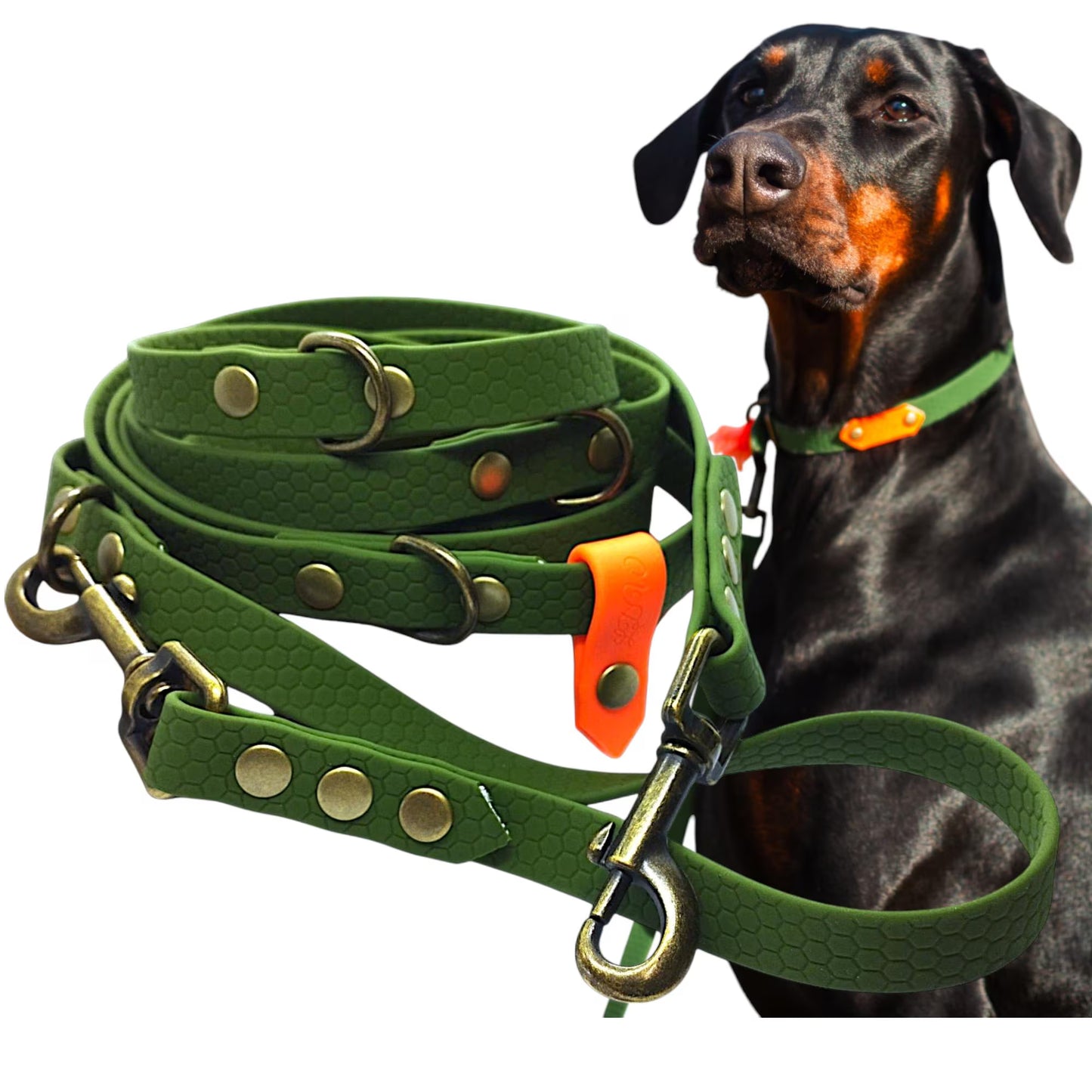 Baroudeur Collier pour chien | Hexa kaki 20mm | Laisse de Wouf