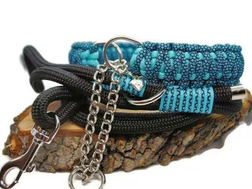 Collier pour chien DIAMOND - Largeur 3 cm