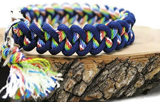 Hai-Hundehalsband Marineblau/Regenbogen - 2 cm breit -| Hundeleine