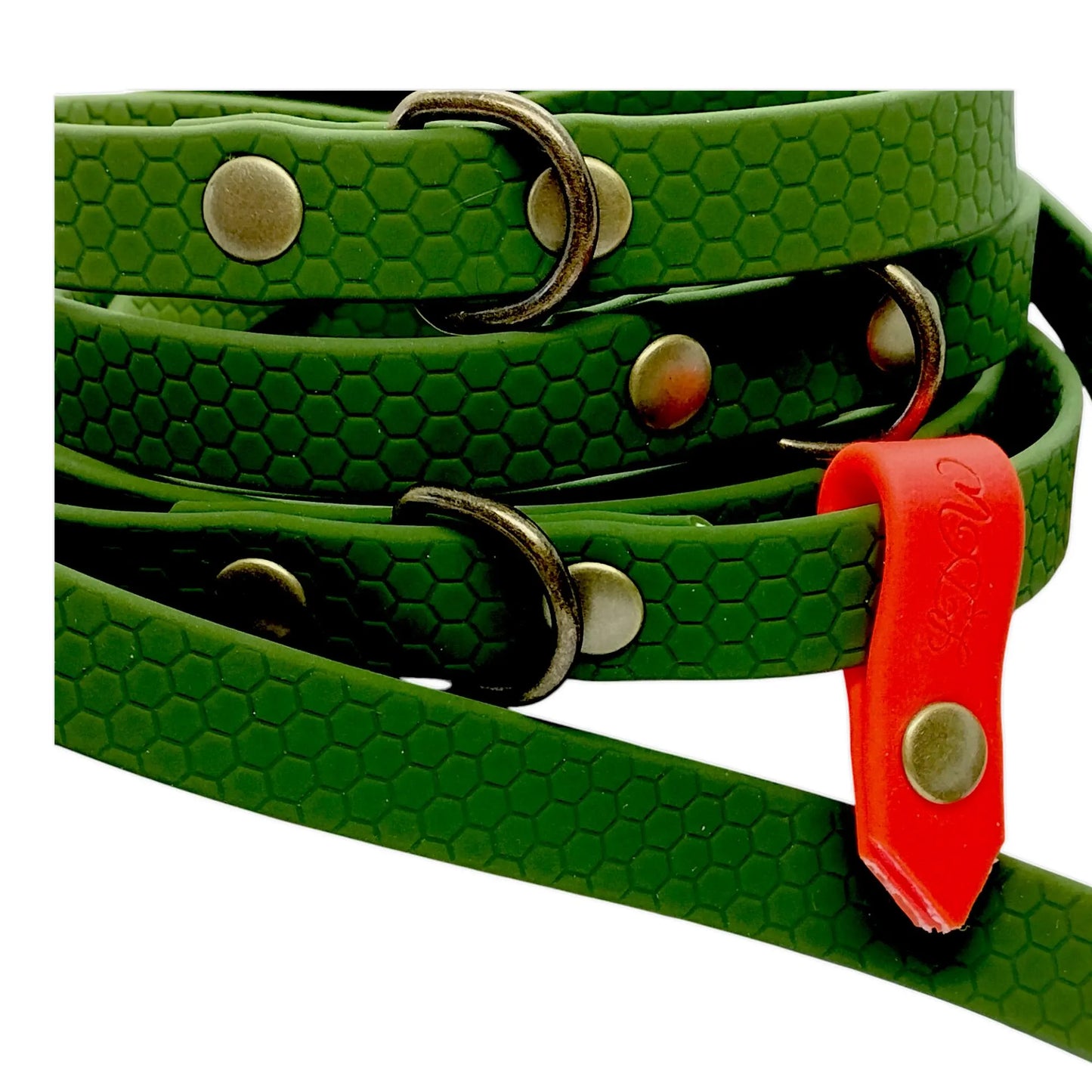 Baroudeur Laisse pour chien Multi-positions 3 points Hexa 20mm | Laisse de Wouf