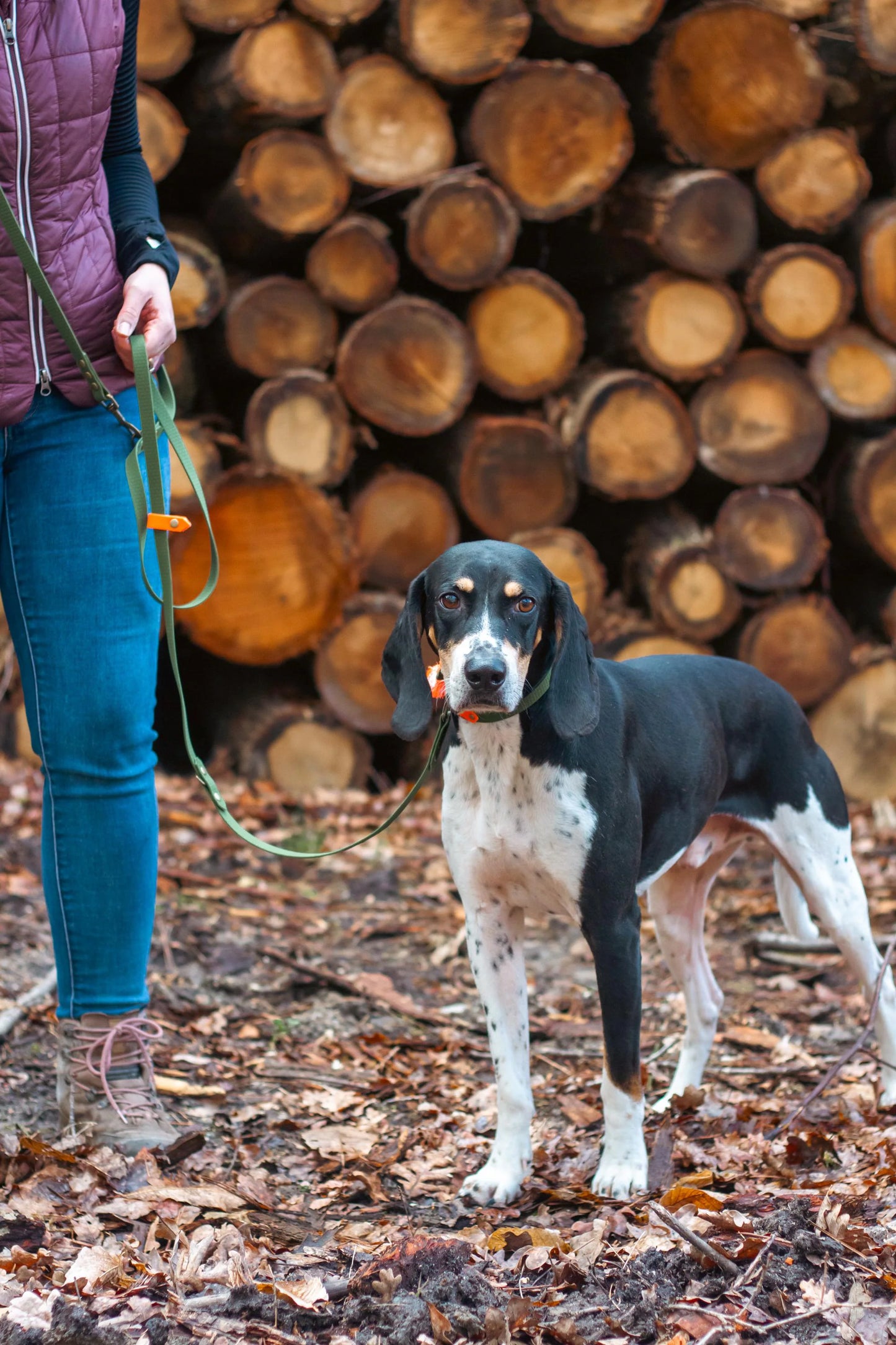 Baroudeur Collier pour chien | Hexa kaki 20mm | Laisse de Wouf